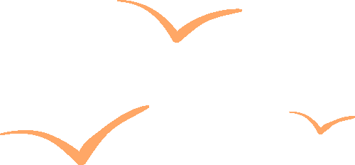 赋能教育者成长,共筑深圳教育新高地 2025年第三季度培训集锦赋能教育者成长,共筑深圳教育新高地 2025年第三季度培训集锦,深圳教育研修院