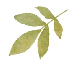 深挖经典魅力与教育价值丨《〈红楼梦〉品读与赏析》课程深受欢迎深挖经典魅力与教育价值丨《〈红楼梦〉品读与赏析》课程深受欢迎,深圳教育研修院